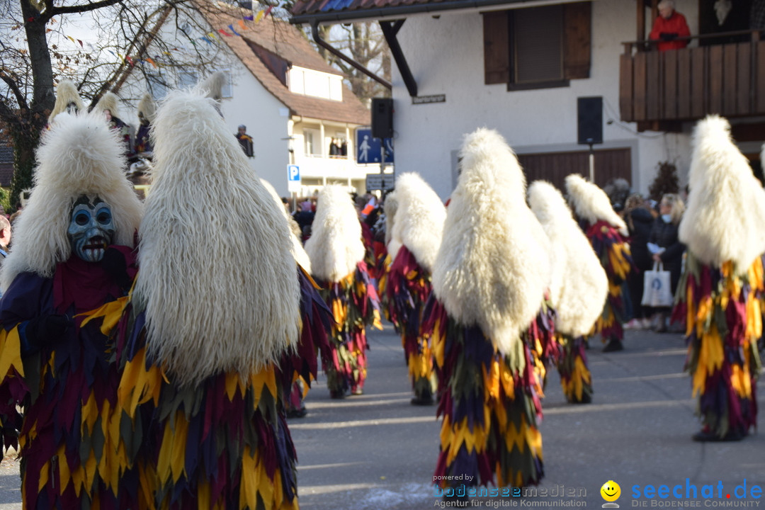 Grosser Narrensprung: Langenargen am Bodensee, 19.01.2020