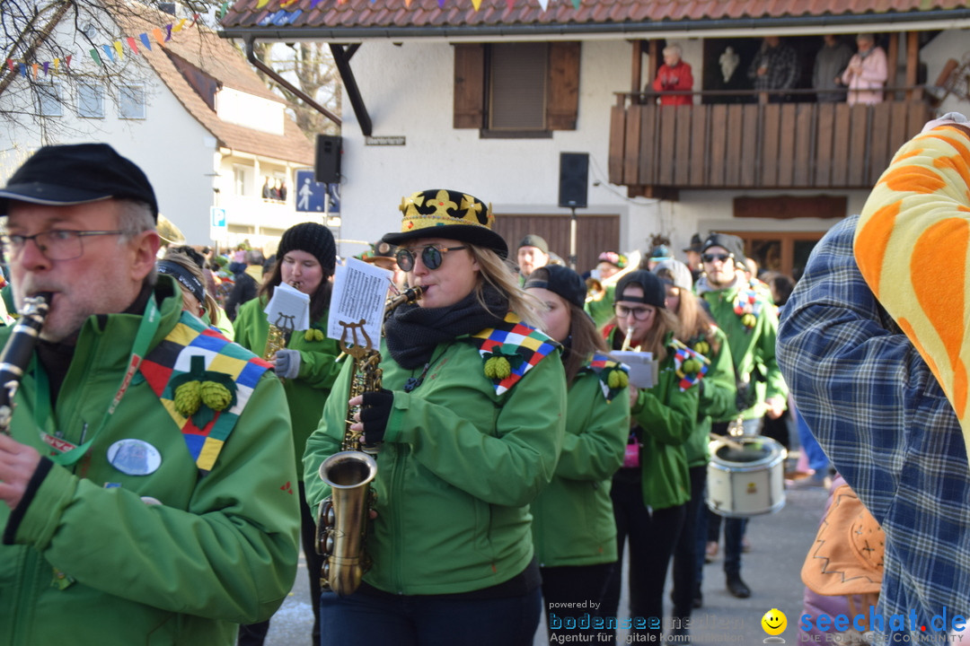 Grosser Narrensprung: Langenargen am Bodensee, 19.01.2020