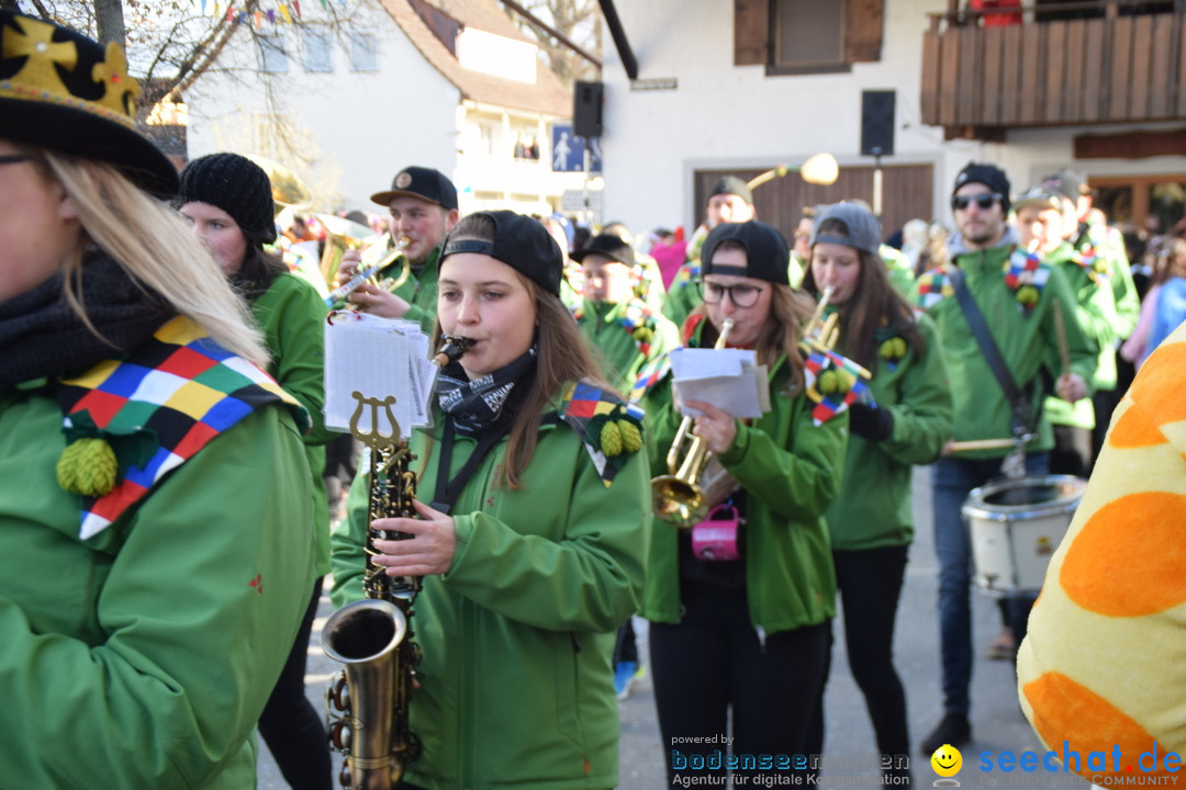 Grosser Narrensprung: Langenargen am Bodensee, 19.01.2020