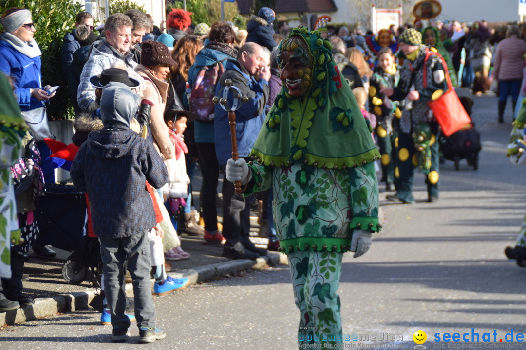 Grosser Narrensprung: Langenargen am Bodensee, 19.01.2020