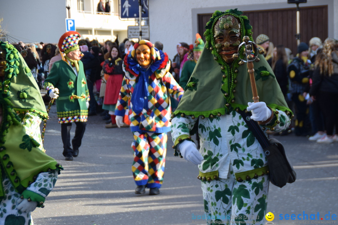 Grosser Narrensprung: Langenargen am Bodensee, 19.01.2020