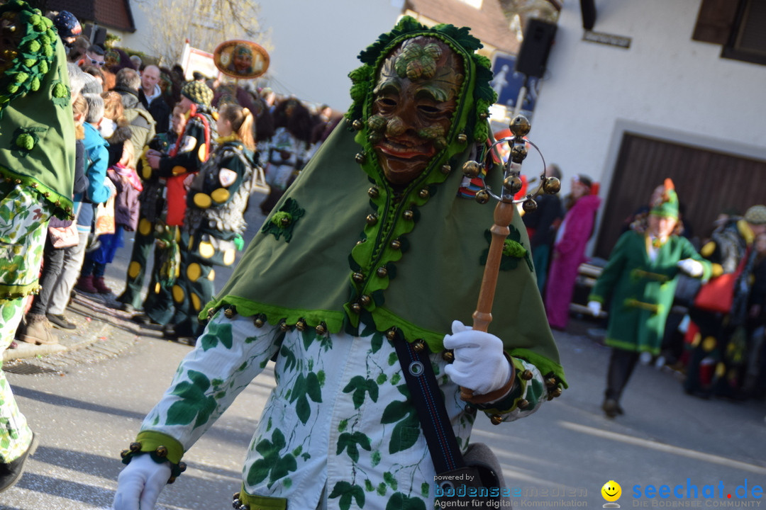 Grosser Narrensprung: Langenargen am Bodensee, 19.01.2020