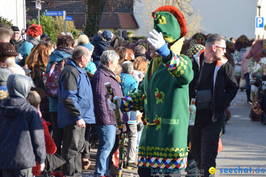 Grosser Narrensprung: Langenargen am Bodensee, 19.01.2020