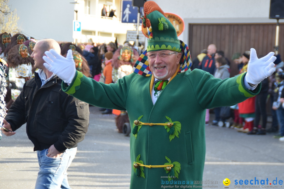 Grosser Narrensprung: Langenargen am Bodensee, 19.01.2020