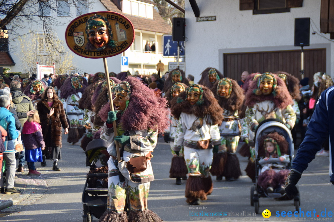 Grosser Narrensprung: Langenargen am Bodensee, 19.01.2020