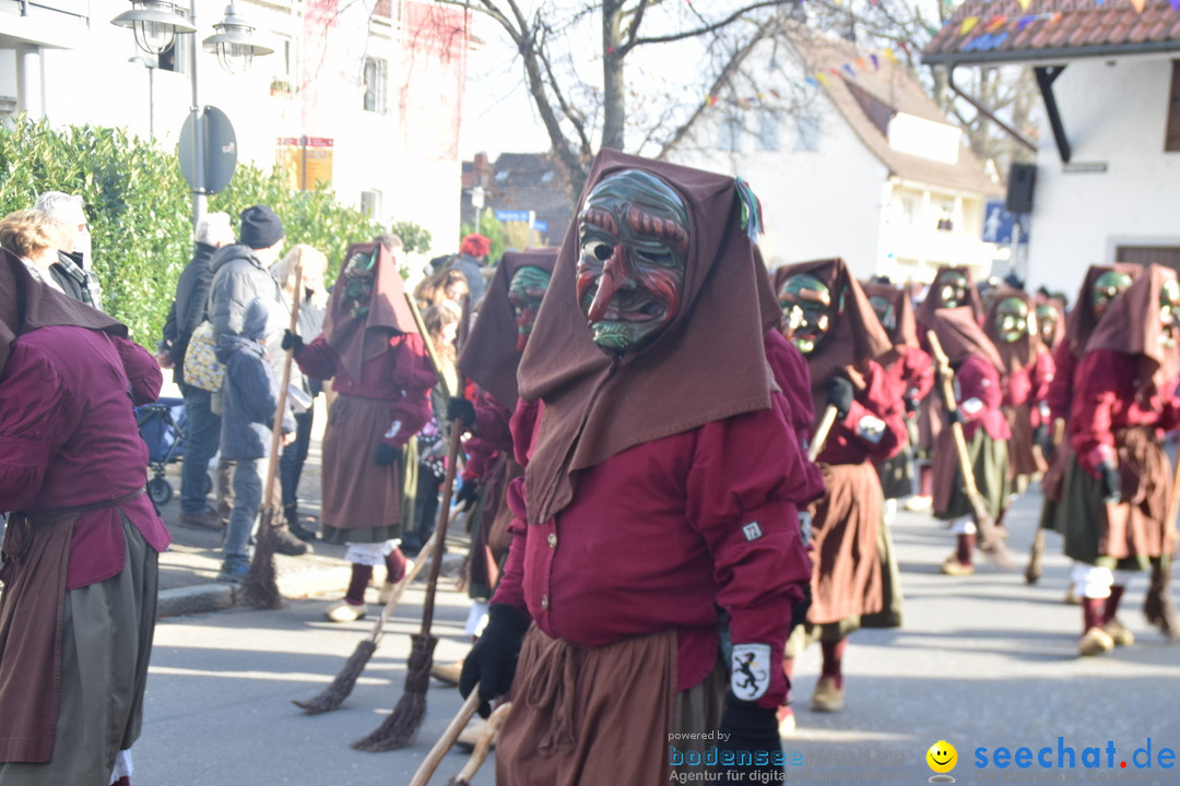 Grosser Narrensprung: Langenargen am Bodensee, 19.01.2020