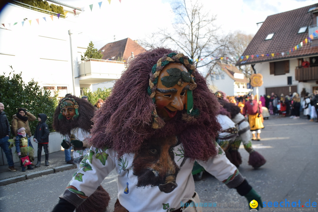 Grosser Narrensprung: Langenargen am Bodensee, 19.01.2020