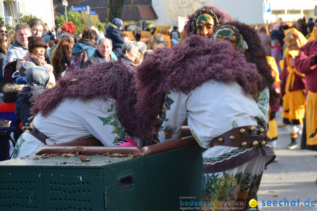 Grosser Narrensprung: Langenargen am Bodensee, 19.01.2020