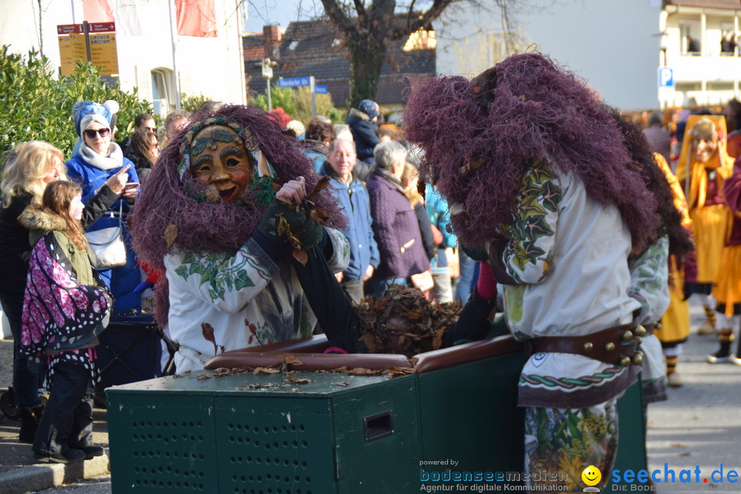 Grosser Narrensprung: Langenargen am Bodensee, 19.01.2020