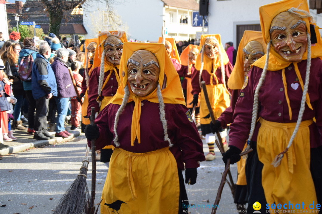 Grosser Narrensprung: Langenargen am Bodensee, 19.01.2020