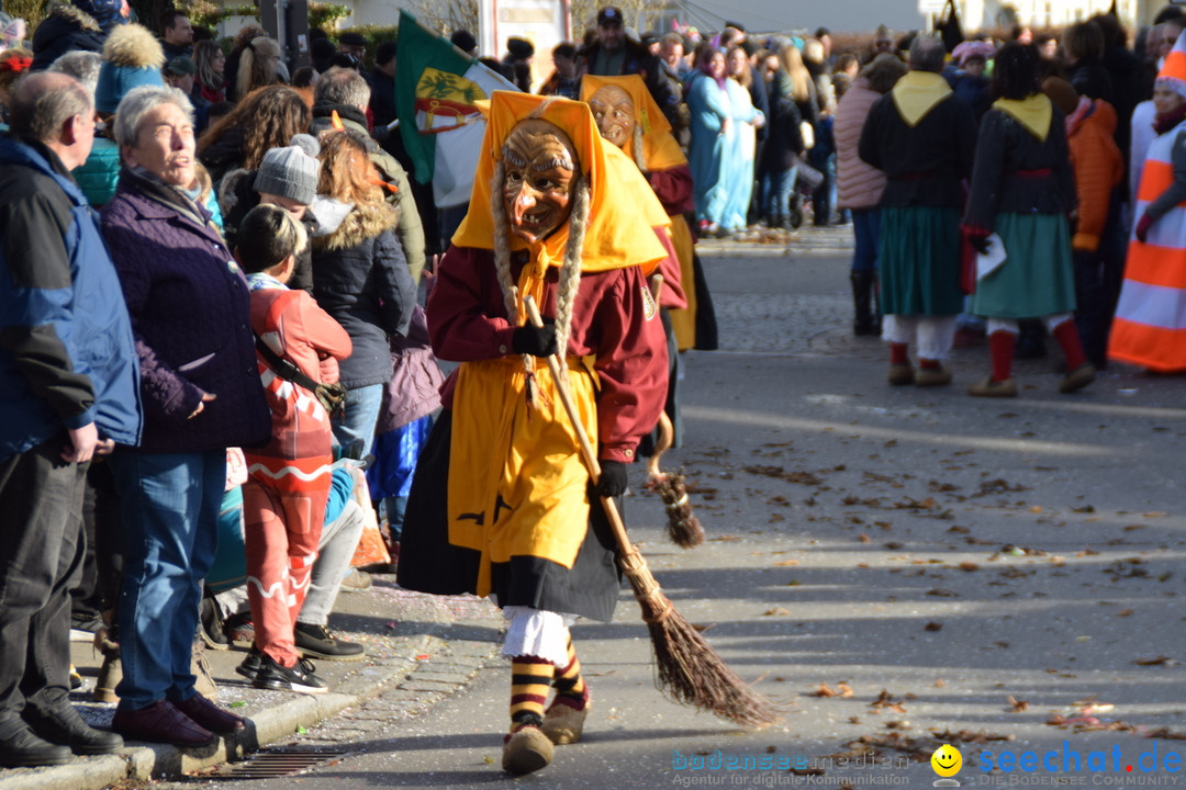 Grosser Narrensprung: Langenargen am Bodensee, 19.01.2020