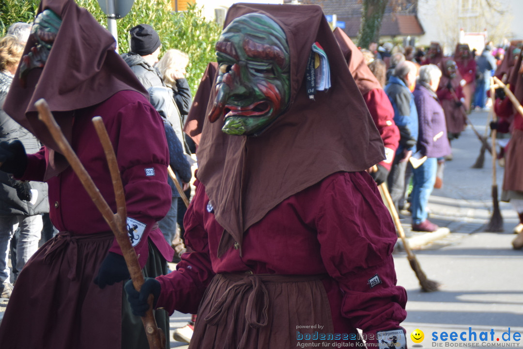 Grosser Narrensprung: Langenargen am Bodensee, 19.01.2020