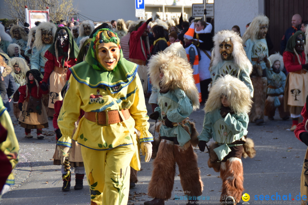 Grosser Narrensprung: Langenargen am Bodensee, 19.01.2020