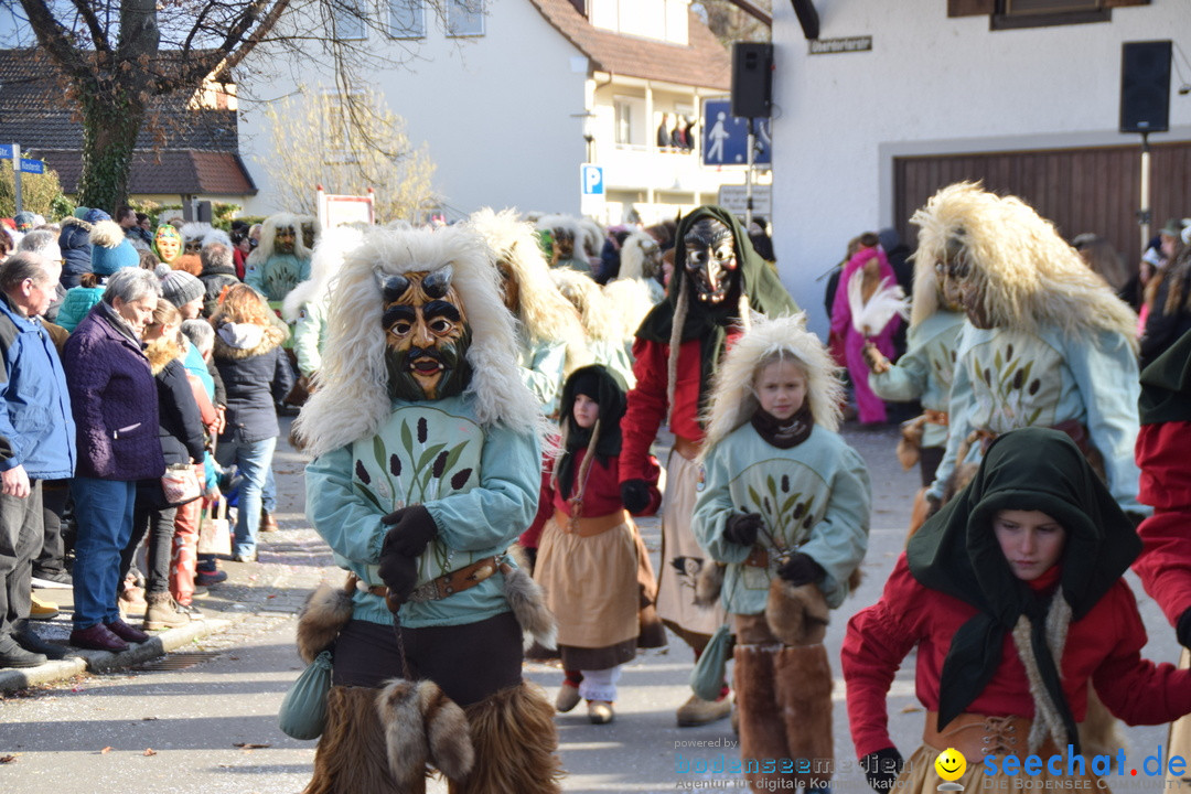 Grosser Narrensprung: Langenargen am Bodensee, 19.01.2020