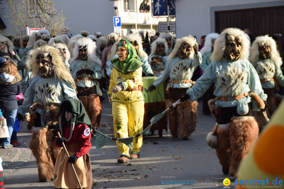 Grosser Narrensprung: Langenargen am Bodensee, 19.01.2020