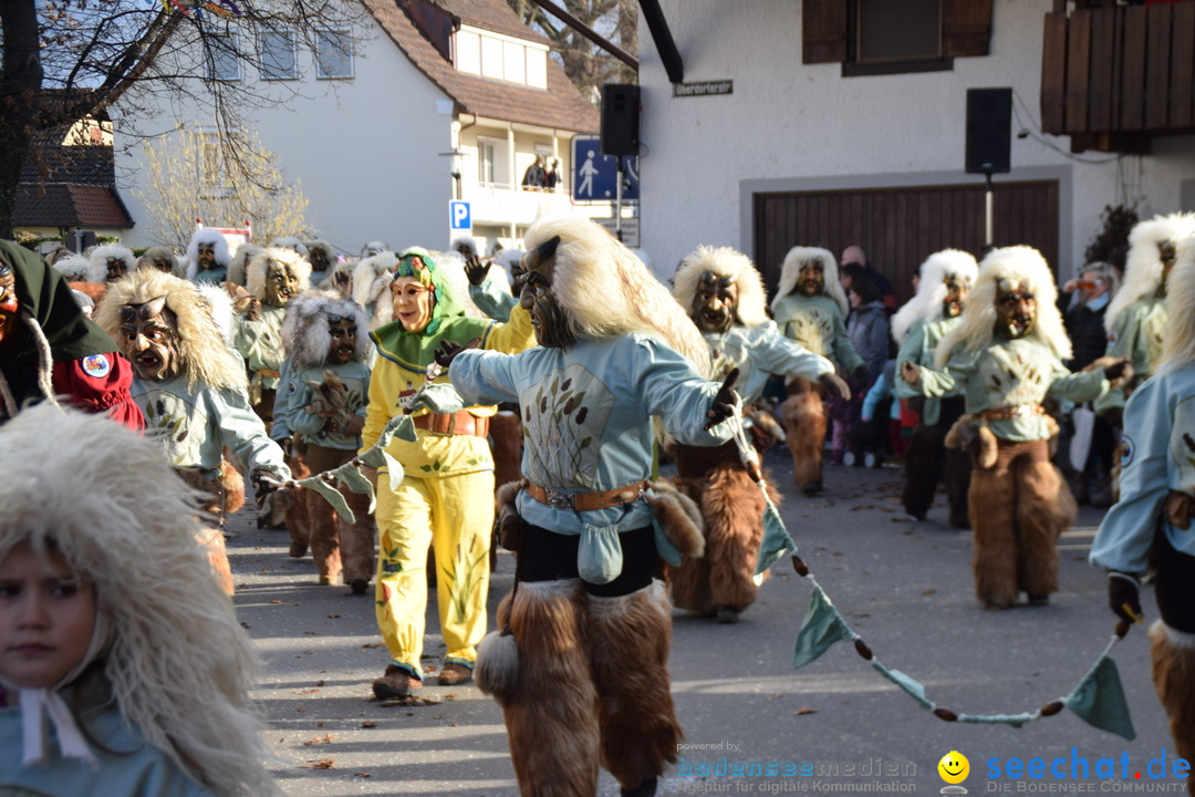 Grosser Narrensprung: Langenargen am Bodensee, 19.01.2020