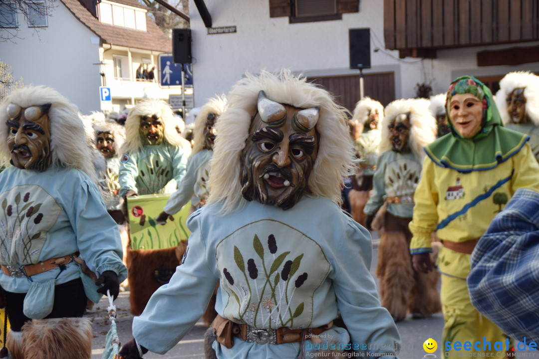 Grosser Narrensprung: Langenargen am Bodensee, 19.01.2020