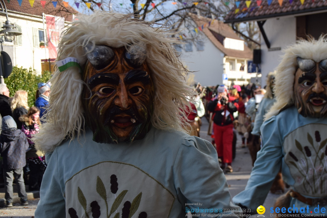 Grosser Narrensprung: Langenargen am Bodensee, 19.01.2020