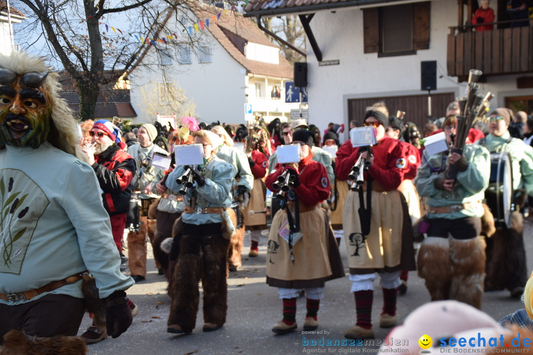 Grosser Narrensprung: Langenargen am Bodensee, 19.01.2020