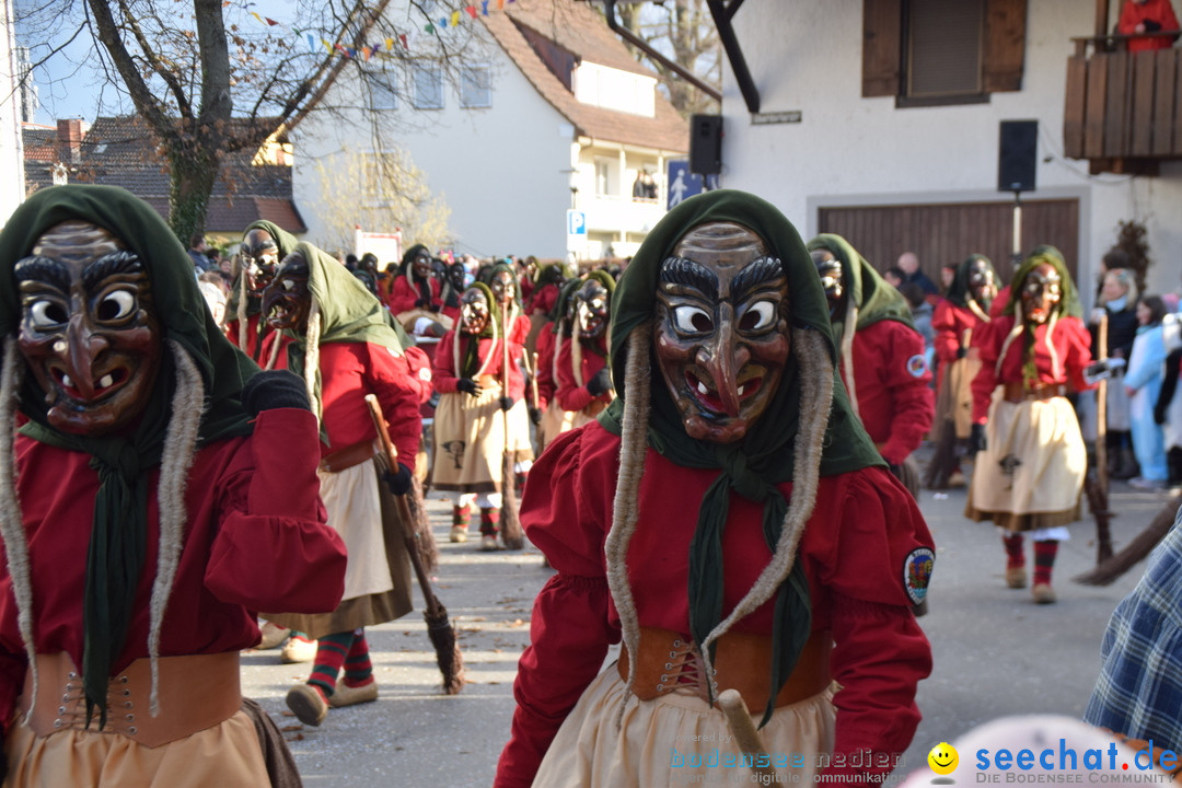 Grosser Narrensprung: Langenargen am Bodensee, 19.01.2020