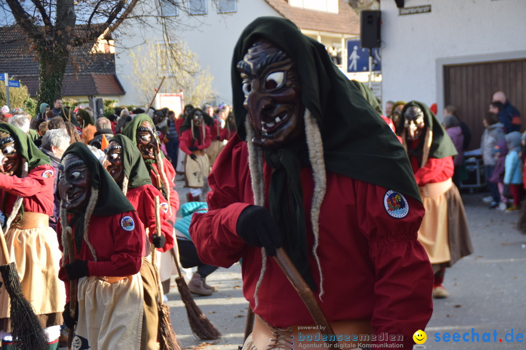 Grosser Narrensprung: Langenargen am Bodensee, 19.01.2020