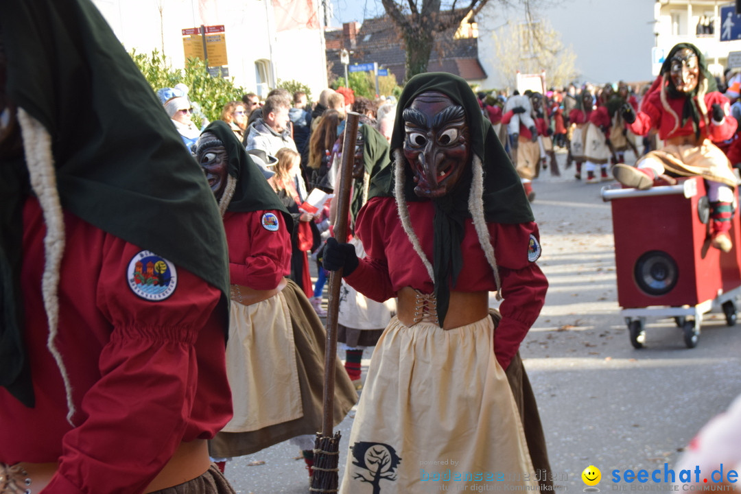 Grosser Narrensprung: Langenargen am Bodensee, 19.01.2020