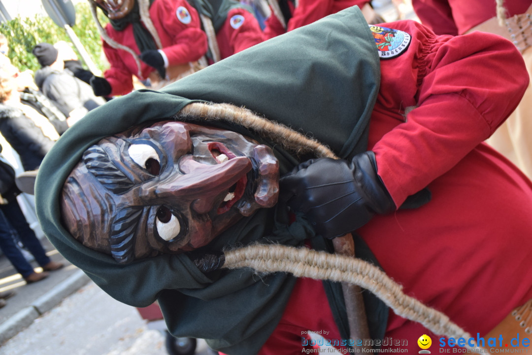 Grosser Narrensprung: Langenargen am Bodensee, 19.01.2020