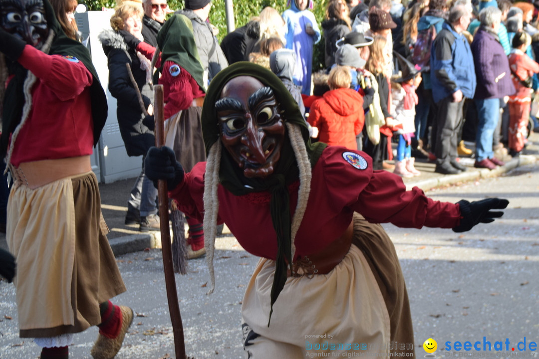 Grosser Narrensprung: Langenargen am Bodensee, 19.01.2020