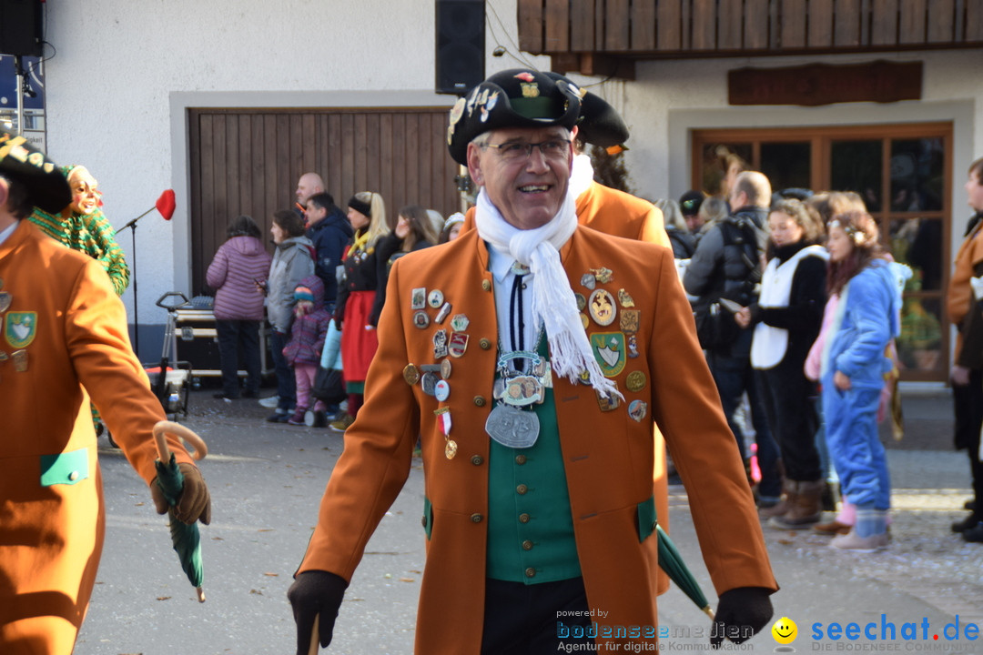 Grosser Narrensprung: Langenargen am Bodensee, 19.01.2020