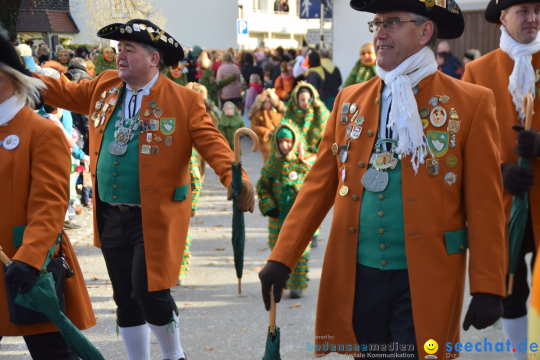 Grosser Narrensprung: Langenargen am Bodensee, 19.01.2020