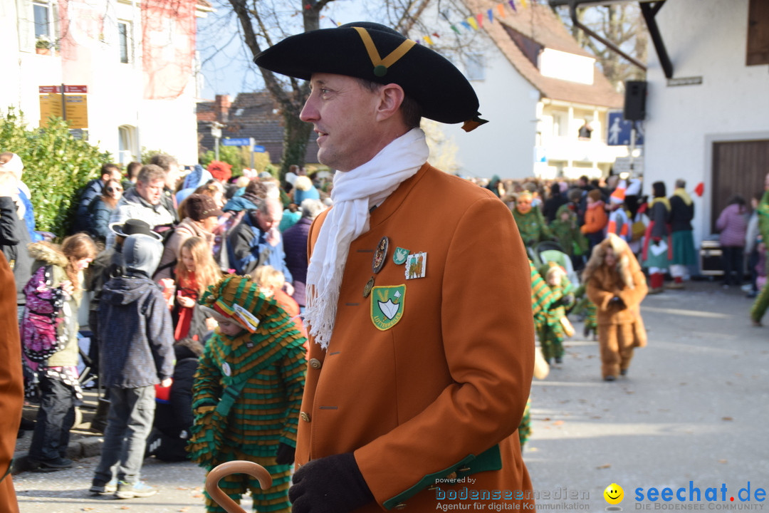 Grosser Narrensprung: Langenargen am Bodensee, 19.01.2020