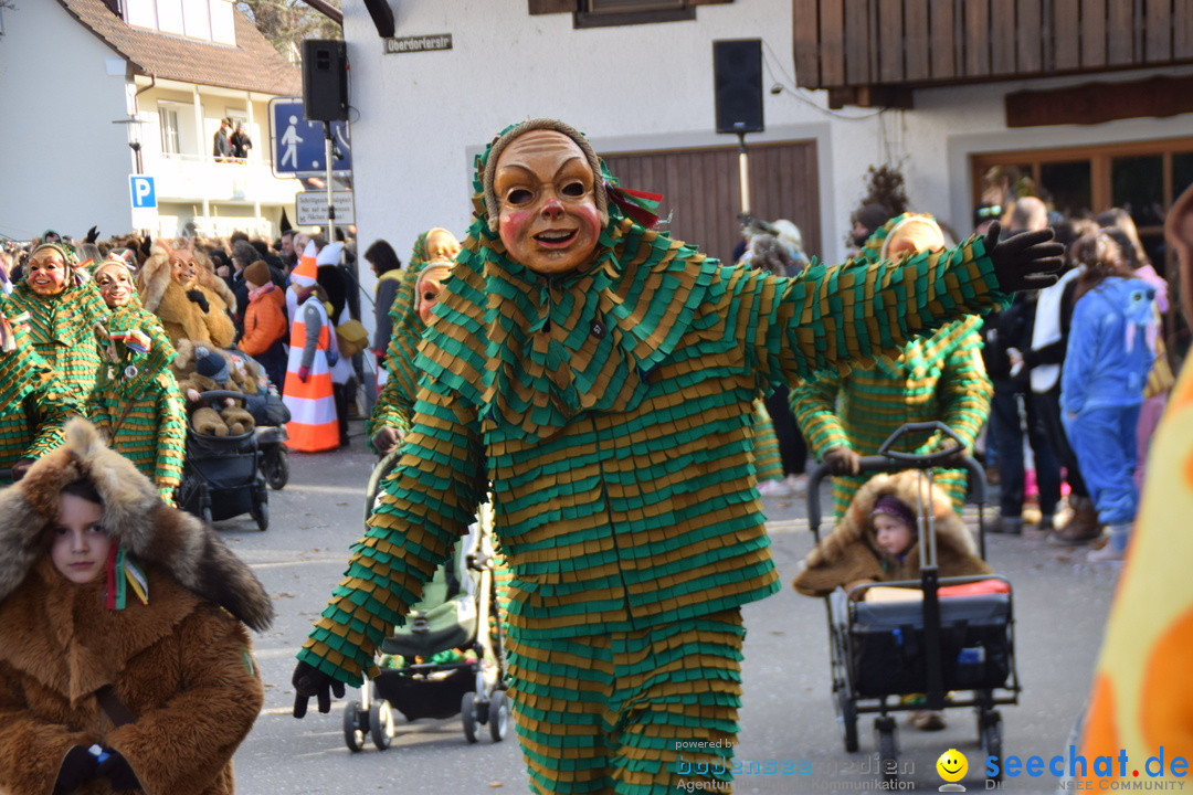 Grosser Narrensprung: Langenargen am Bodensee, 19.01.2020