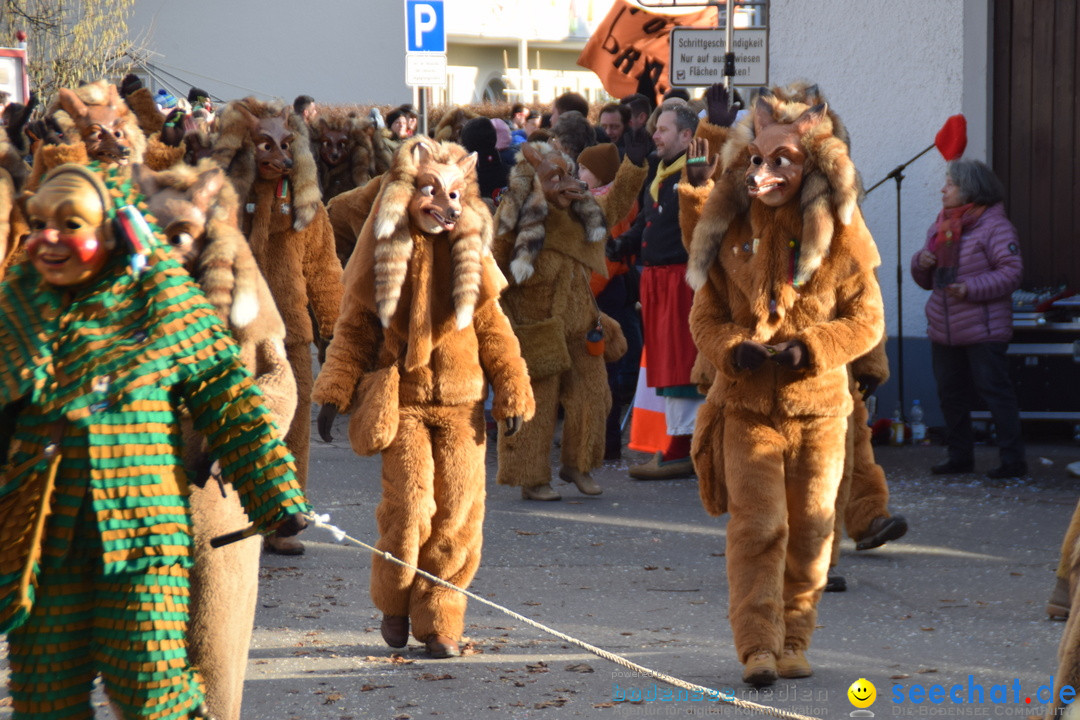 Grosser Narrensprung: Langenargen am Bodensee, 19.01.2020