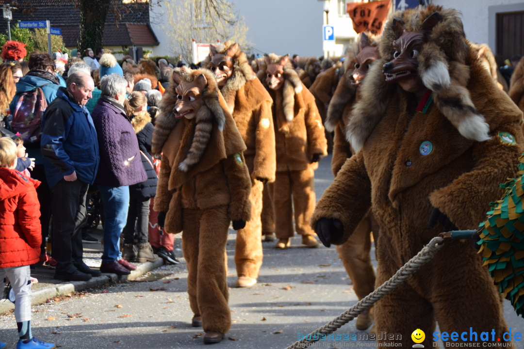 Grosser Narrensprung: Langenargen am Bodensee, 19.01.2020