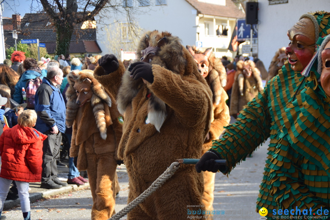 Grosser Narrensprung: Langenargen am Bodensee, 19.01.2020