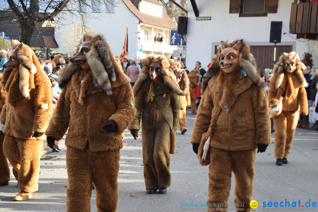 Grosser Narrensprung: Langenargen am Bodensee, 19.01.2020