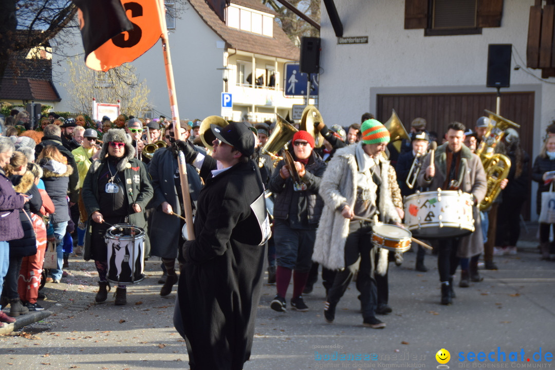 Grosser Narrensprung: Langenargen am Bodensee, 19.01.2020