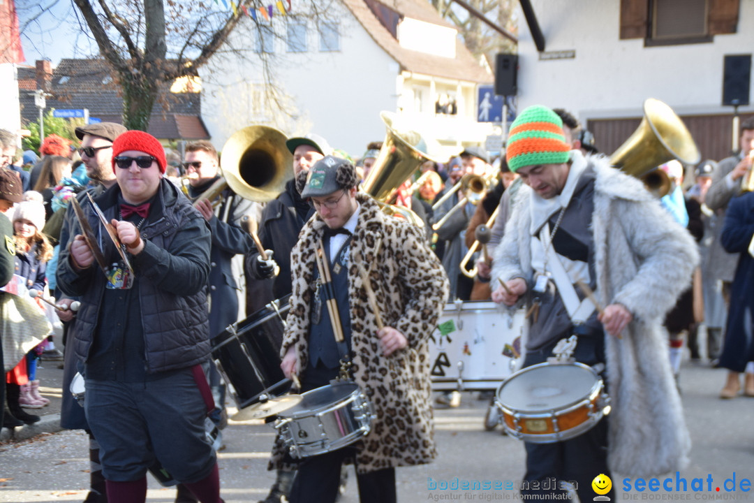 Grosser Narrensprung: Langenargen am Bodensee, 19.01.2020