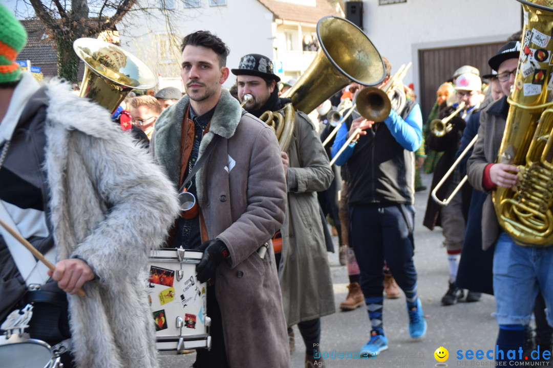 Grosser Narrensprung: Langenargen am Bodensee, 19.01.2020