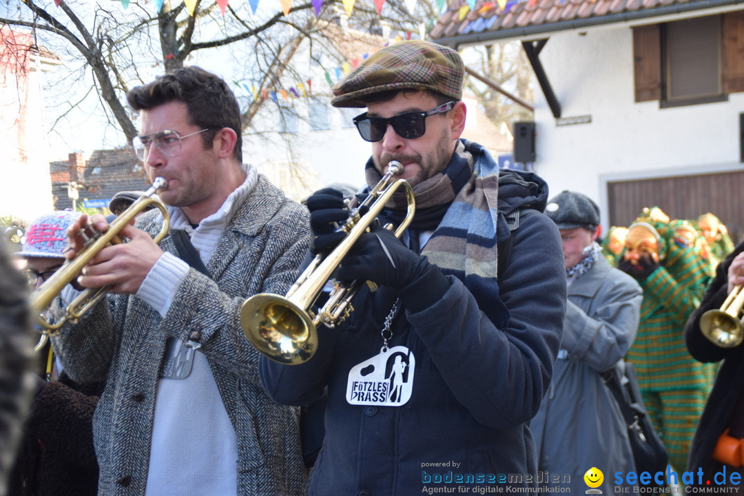 Grosser Narrensprung: Langenargen am Bodensee, 19.01.2020