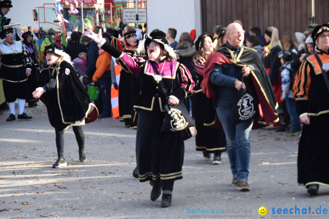 Grosser Narrensprung: Langenargen am Bodensee, 19.01.2020