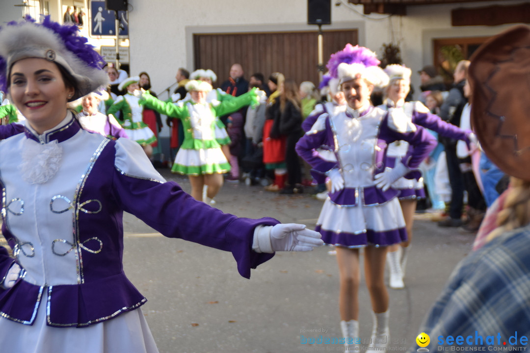 Grosser Narrensprung: Langenargen am Bodensee, 19.01.2020