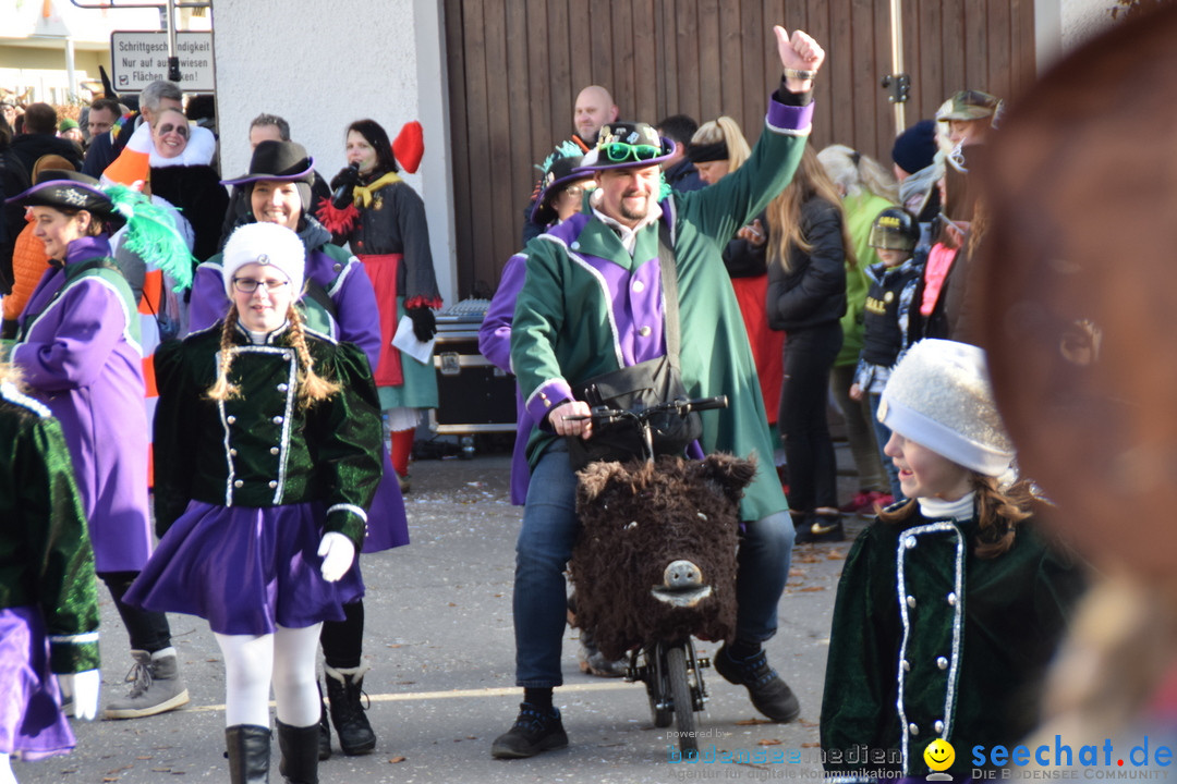 Grosser Narrensprung: Langenargen am Bodensee, 19.01.2020