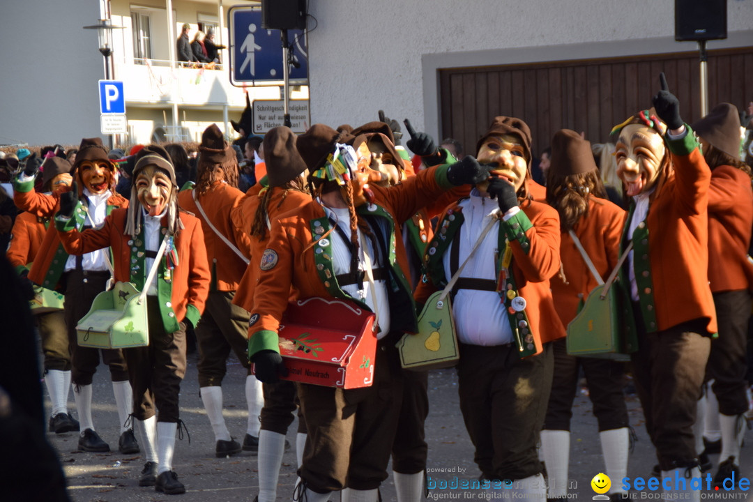 Grosser Narrensprung: Langenargen am Bodensee, 19.01.2020