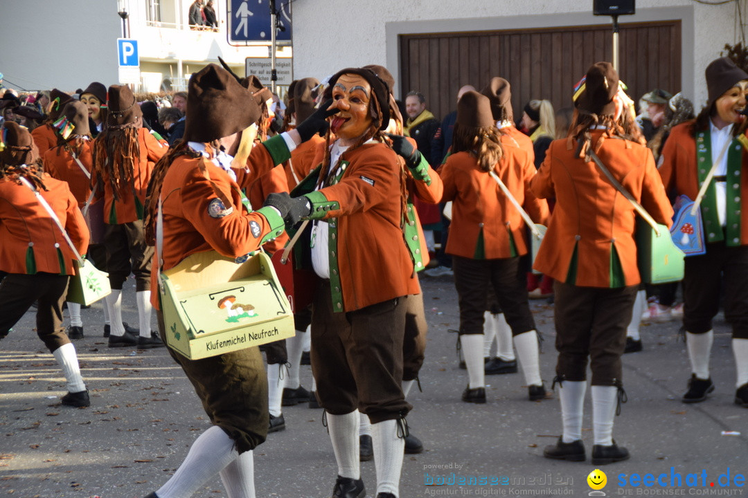 Grosser Narrensprung: Langenargen am Bodensee, 19.01.2020