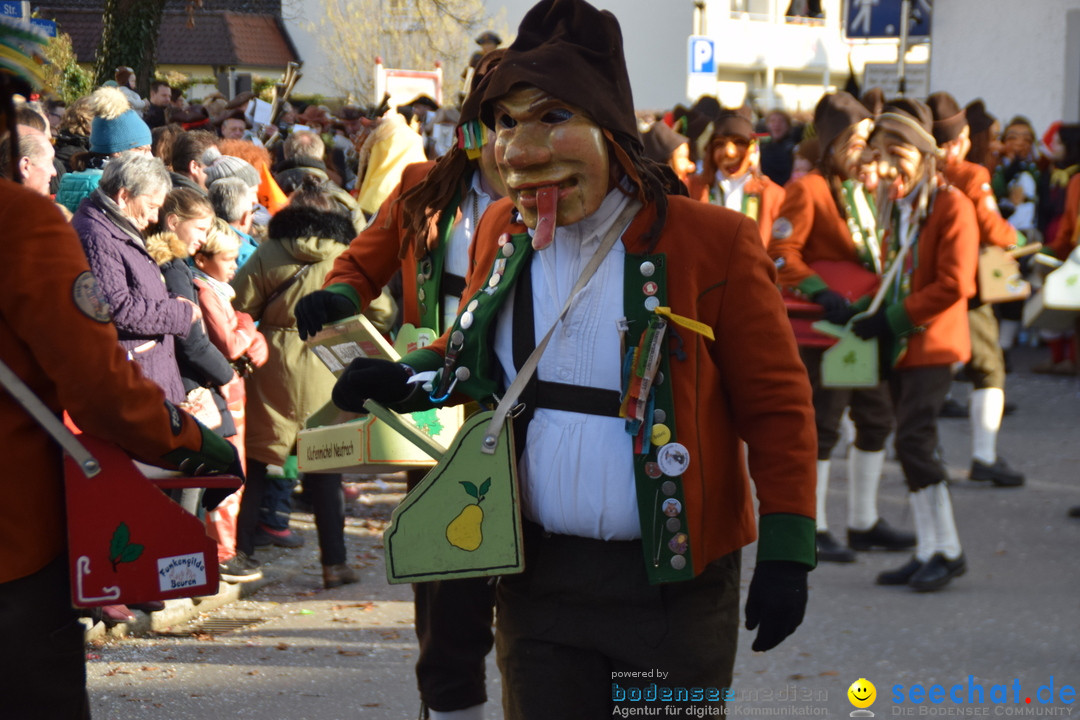 Grosser Narrensprung: Langenargen am Bodensee, 19.01.2020