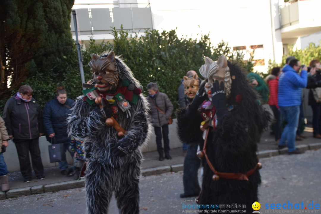 Grosser Narrensprung: Langenargen am Bodensee, 19.01.2020