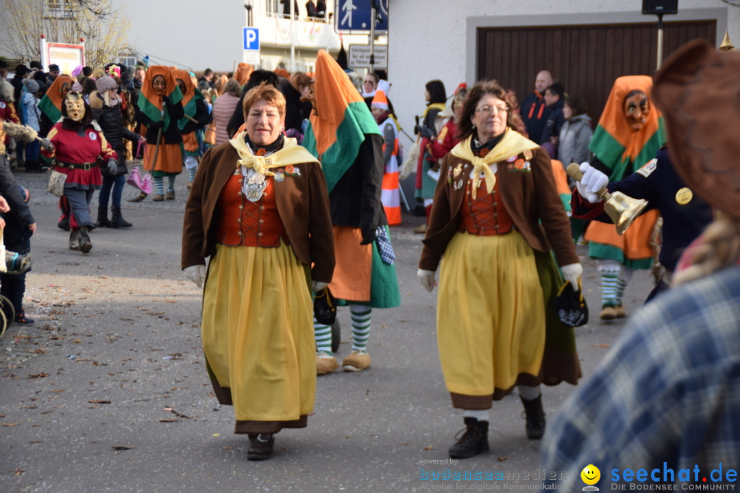 Grosser Narrensprung: Langenargen am Bodensee, 19.01.2020