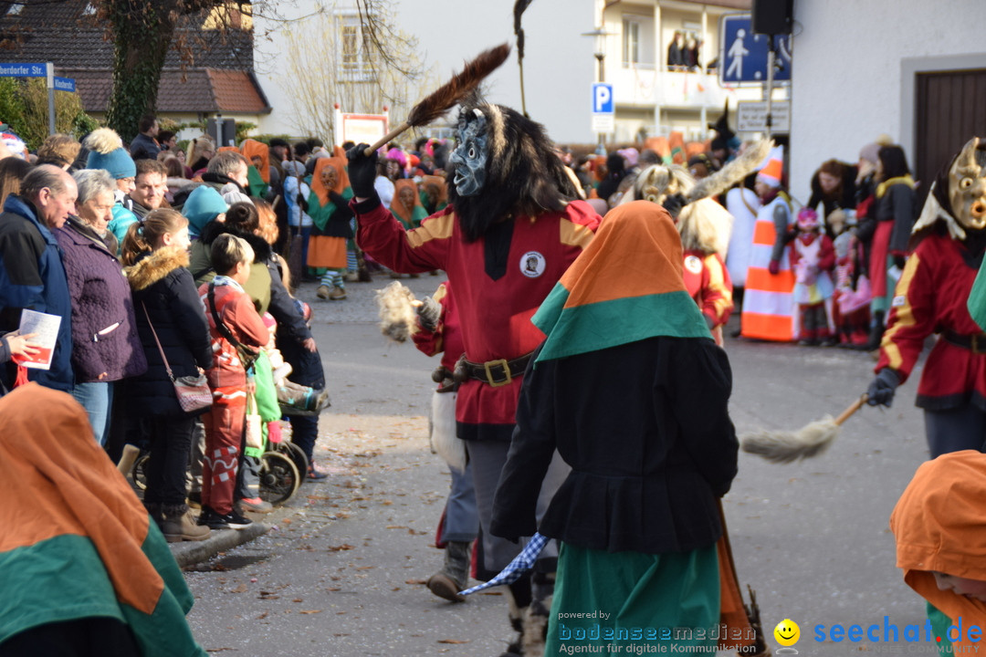 Grosser Narrensprung: Langenargen am Bodensee, 19.01.2020