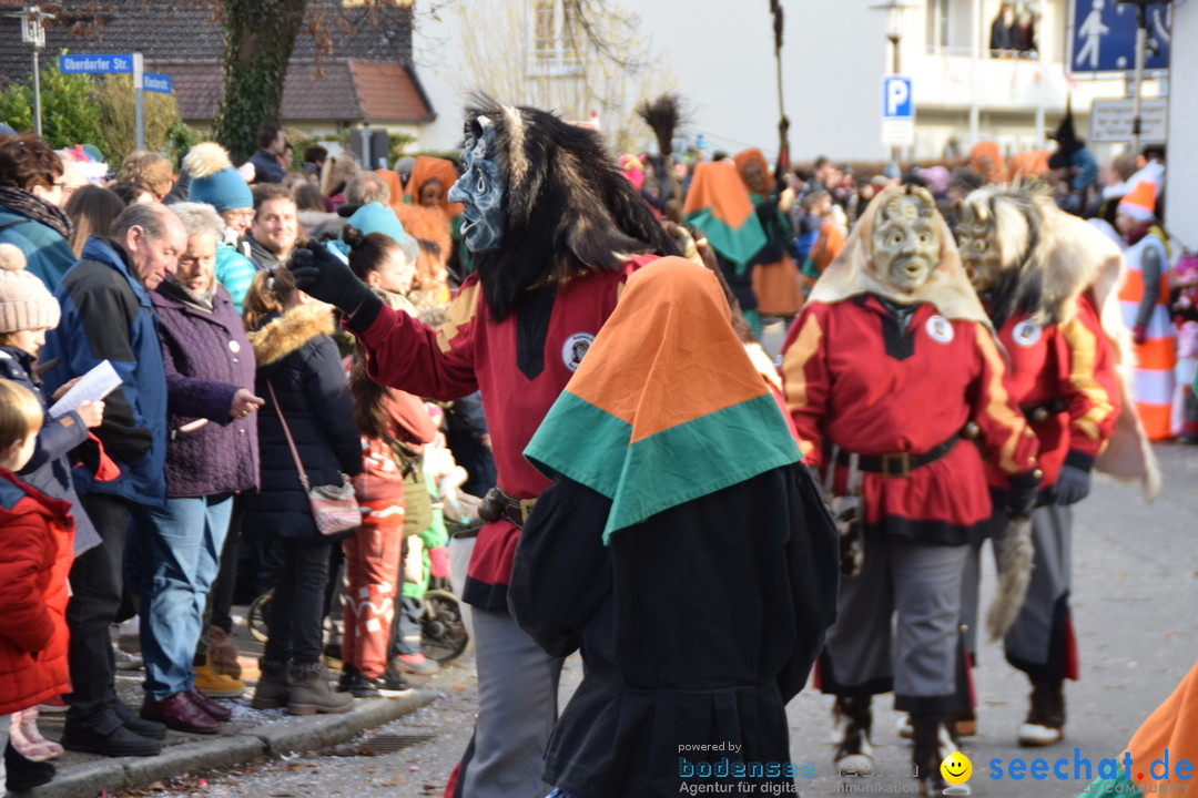 Grosser Narrensprung: Langenargen am Bodensee, 19.01.2020